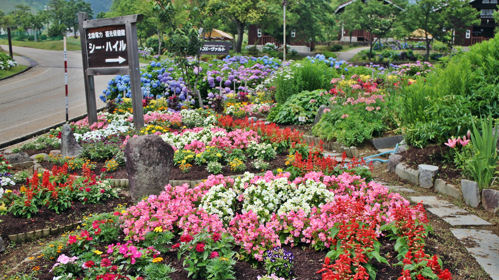 *【景観】敷地内には四季折々のお花や植物が皆様をお迎えします♪