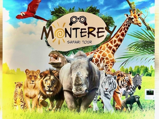 【モントレ姫路オリジナルコンセプトルーム】1室限定　サファリルームステイ！＜朝食付き＞