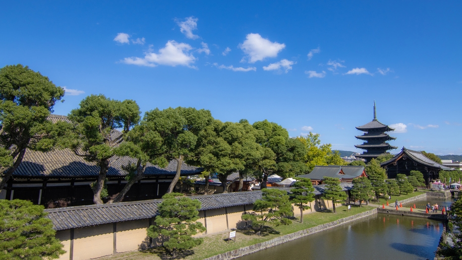 【直前7日】宿泊日7日以内にご予約のお客様へおすすめのプランです！