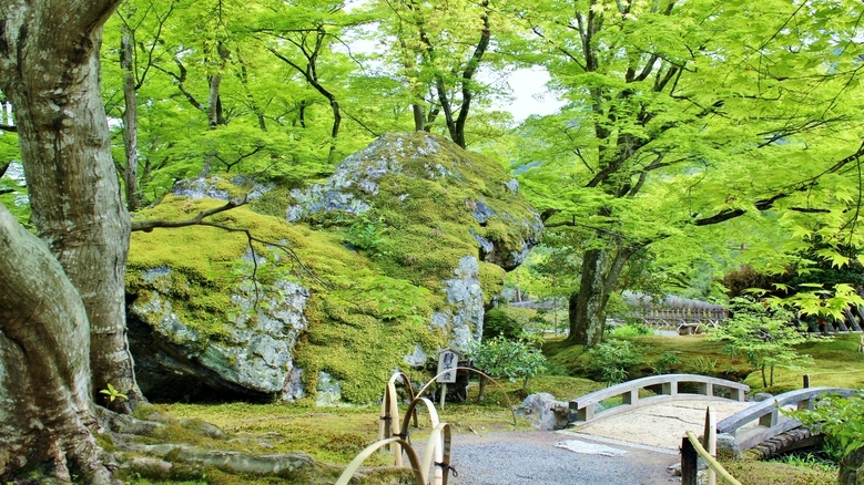 【連泊割】長期滞在者向け！連泊でお得に割引♪