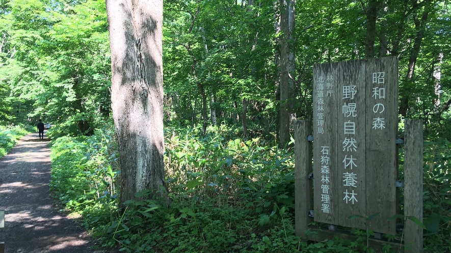 ・周辺 野幌森林公園