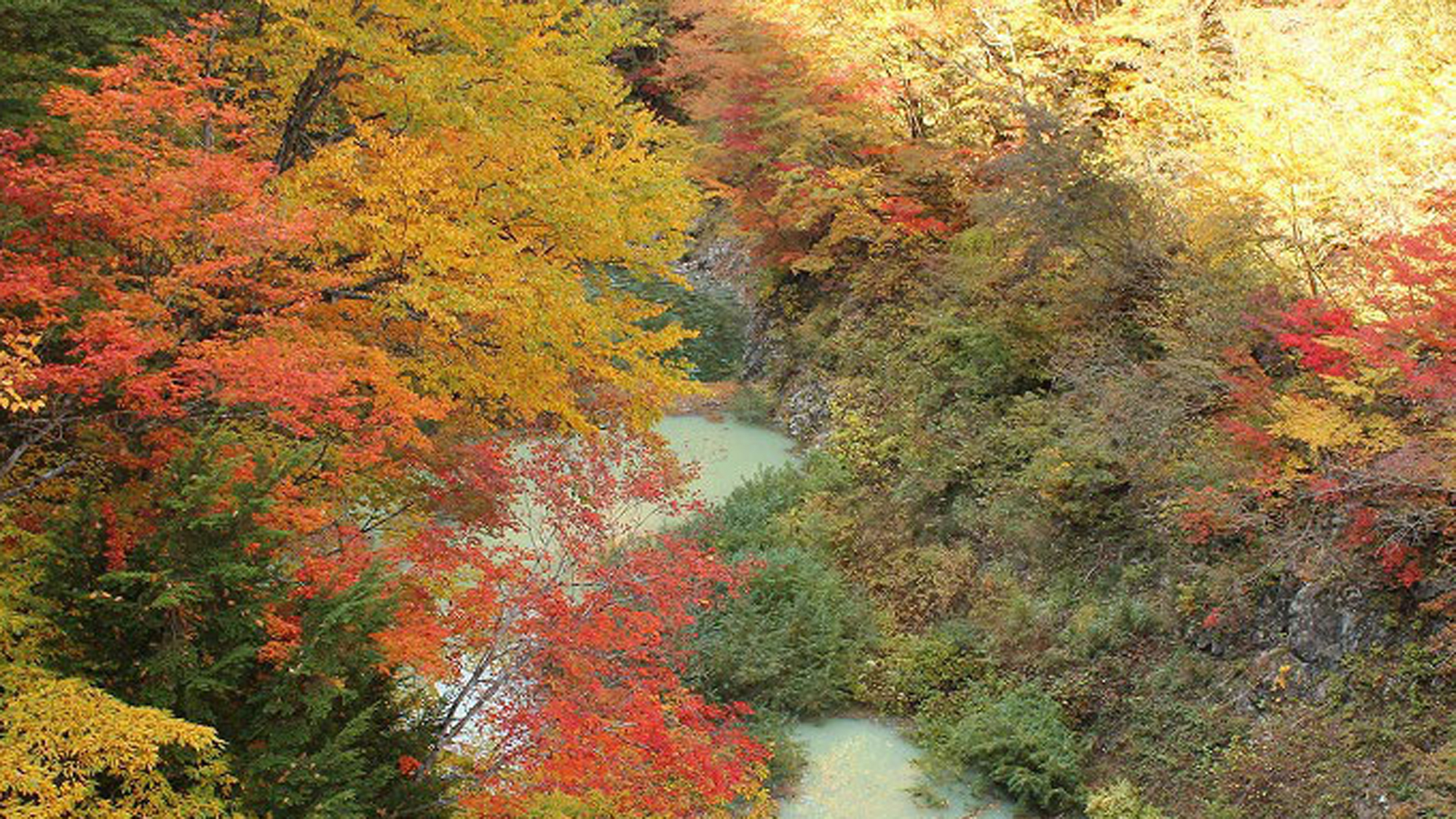 *【周辺観光】秋景色では見事な紅葉がご覧いただけます