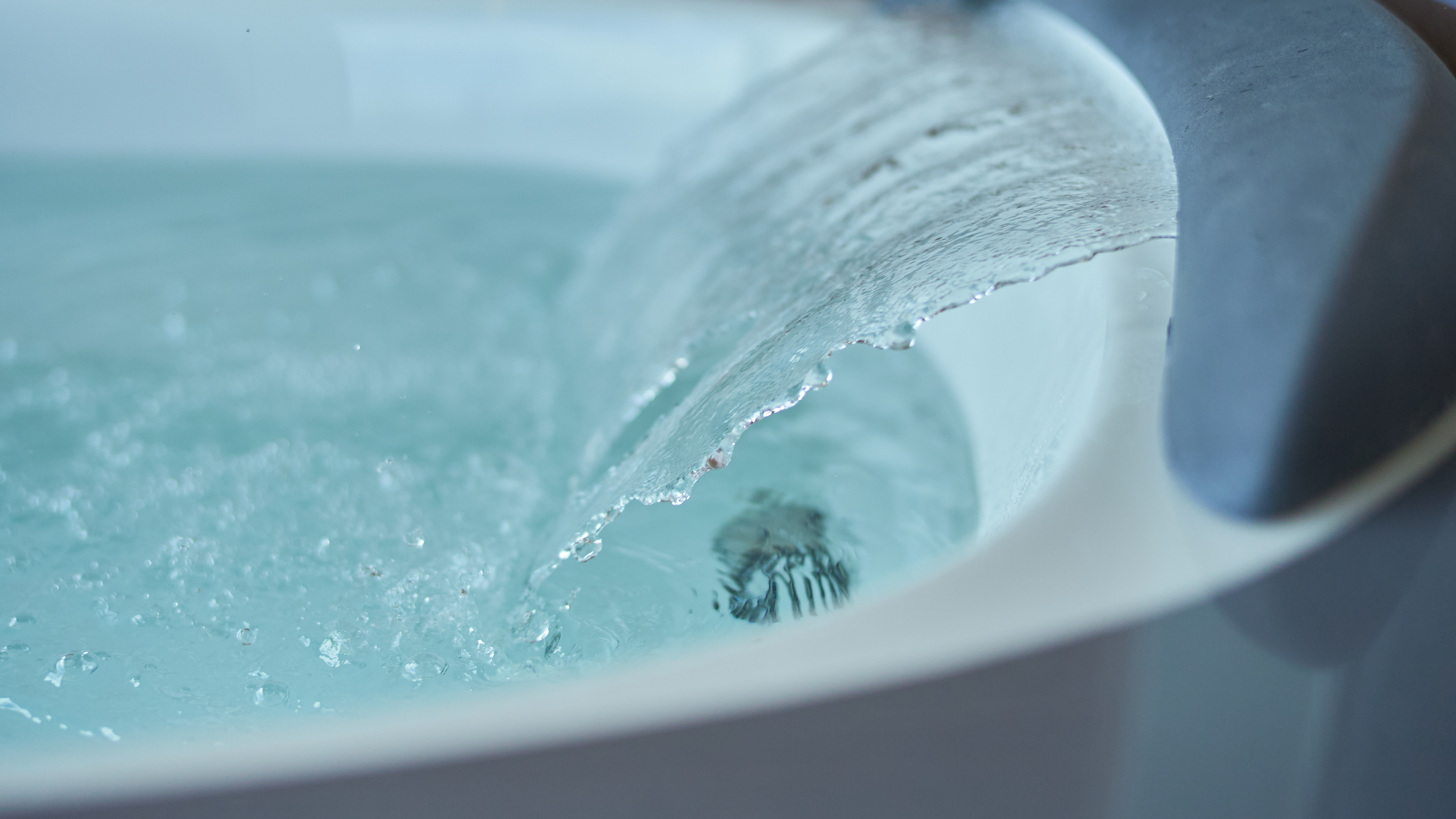 遊び草(あそびぐさ)