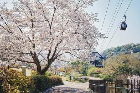 【神戸布引ハーブ園・ロープウェイチケット付】〜春の陽気に包まれる散歩道〜（朝食付）