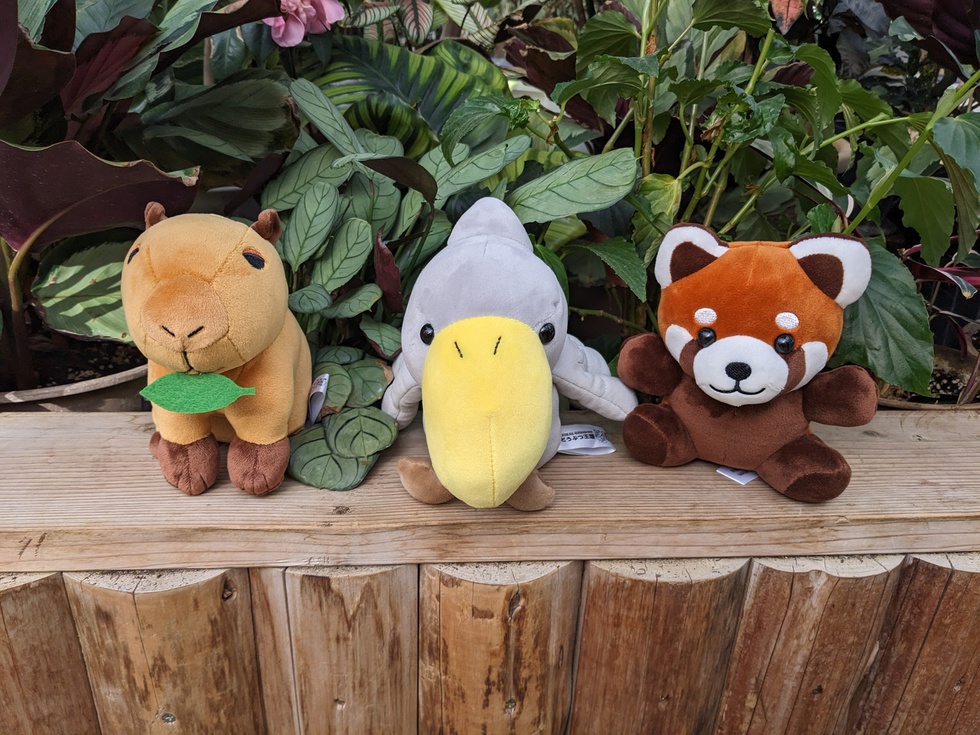 ＼旅の思い出に／神戸どうぶつ王国チケット＆王国オリジナルくじ付プラン（朝食付＆駐車場無料）