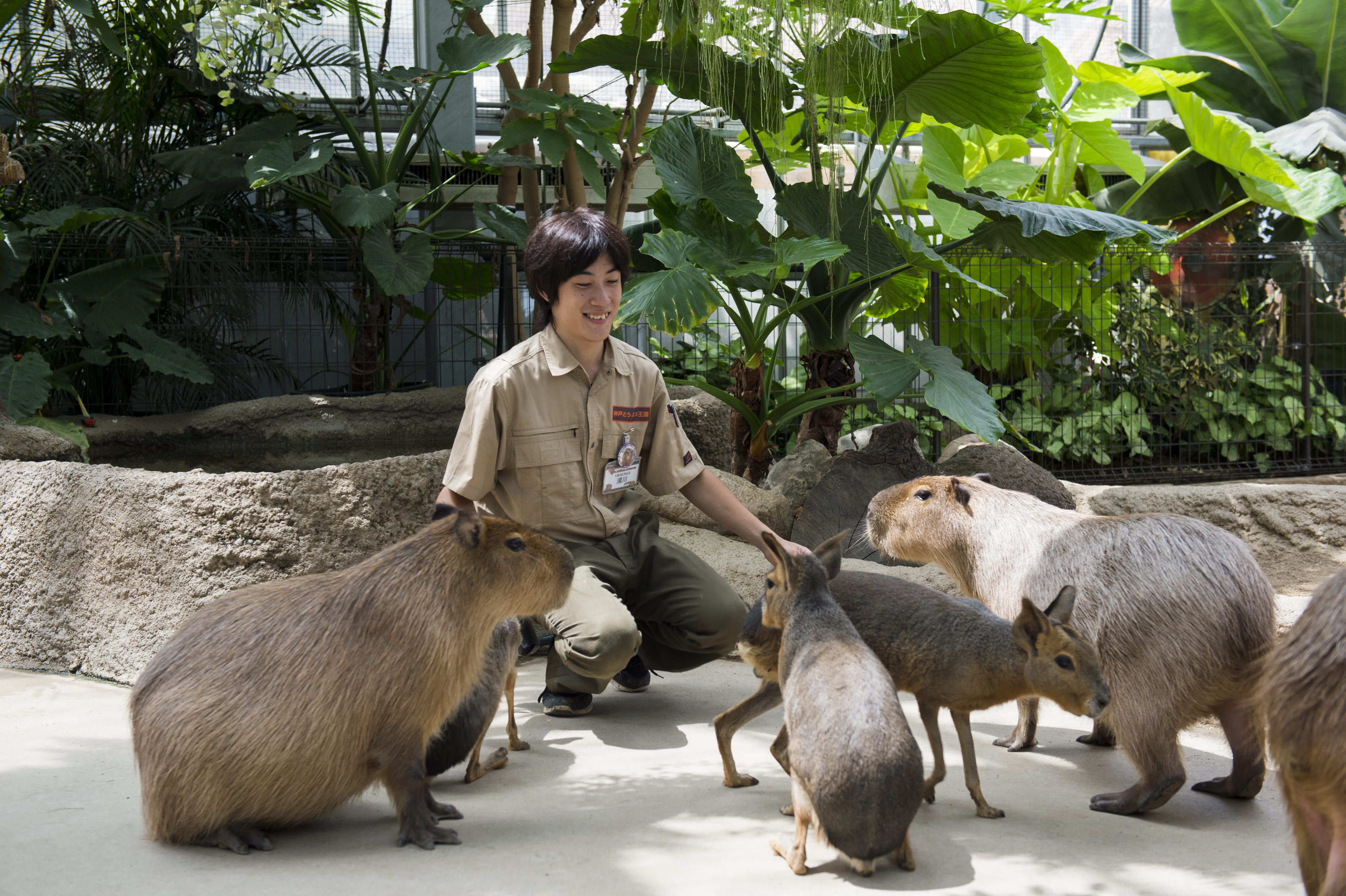 神戸どうぶつ王国 ©KOBE TOURISM BUREAU