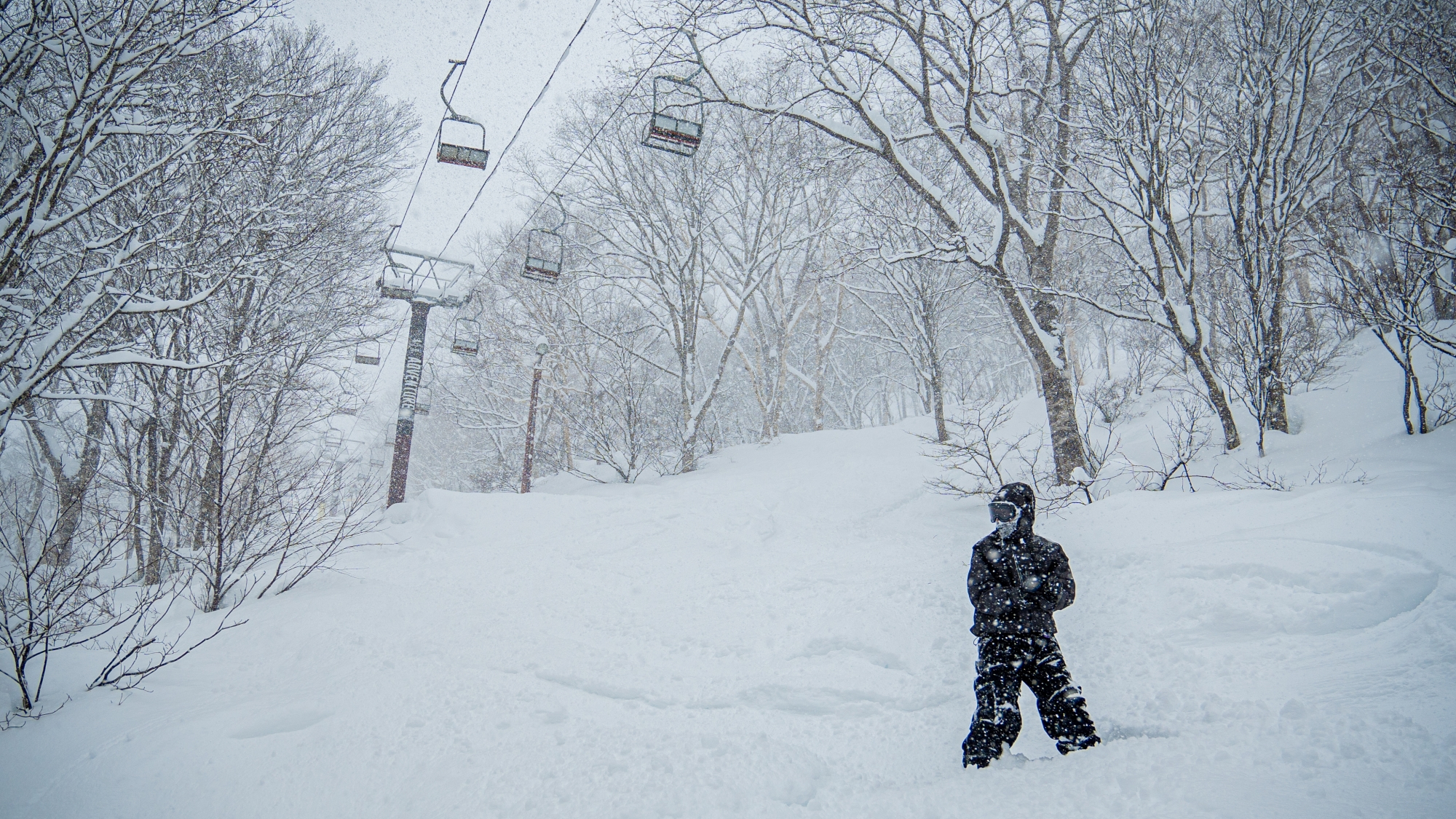 *関温泉スキー場のパウダーランは別格です！