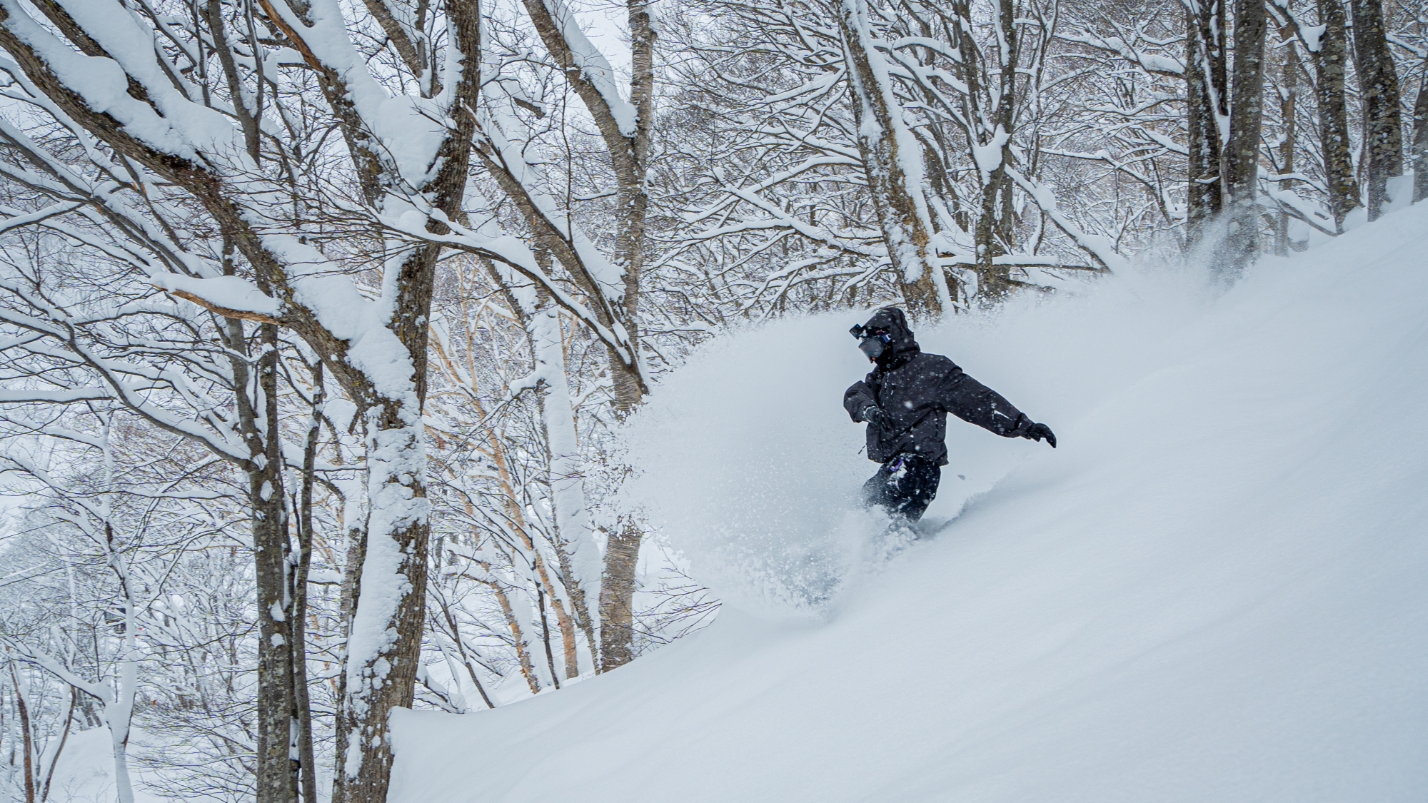 *関温泉スキー場のパウダーランは別格です！