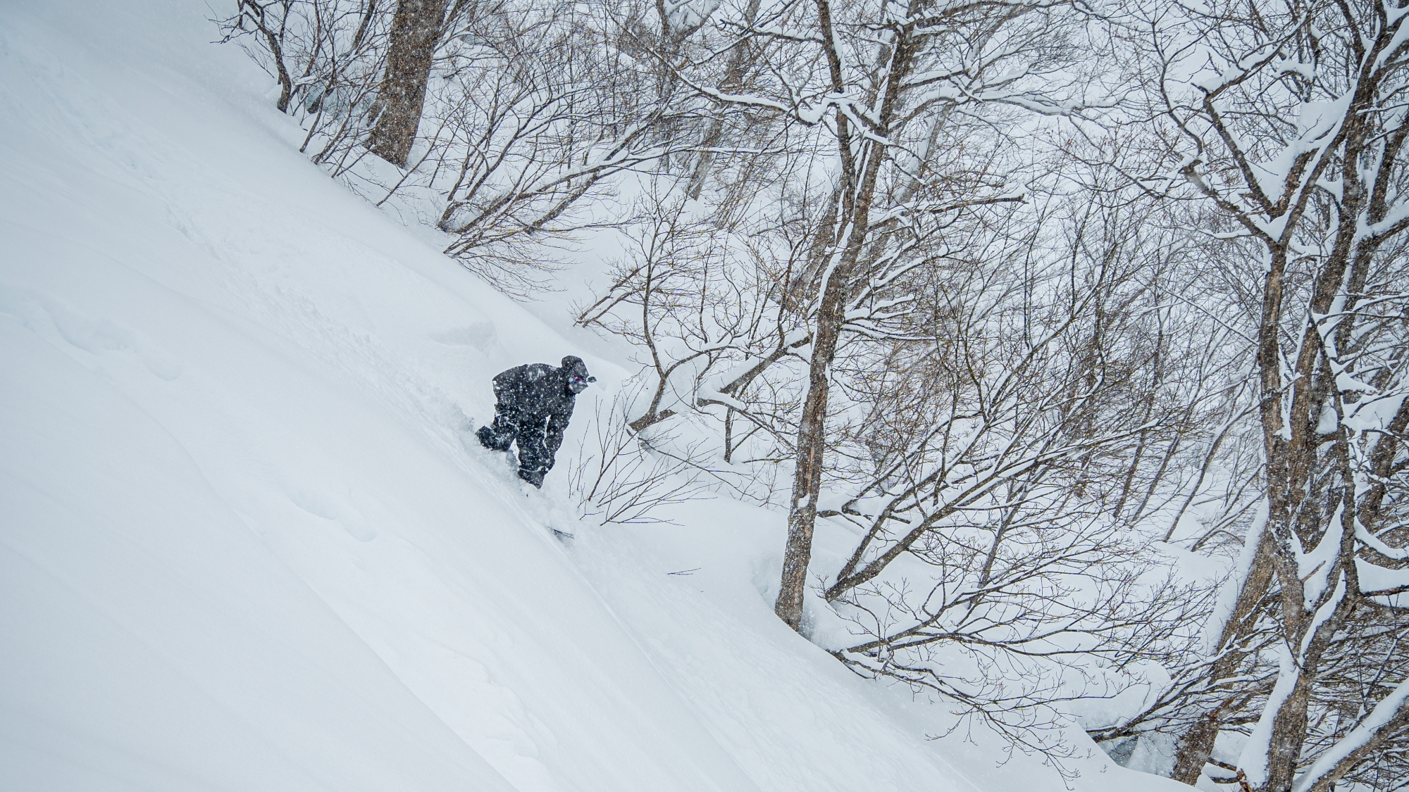 *国内でも指折りのパウダースノーの聖地！まだ来たことが無い方はぜひ体験してみてください