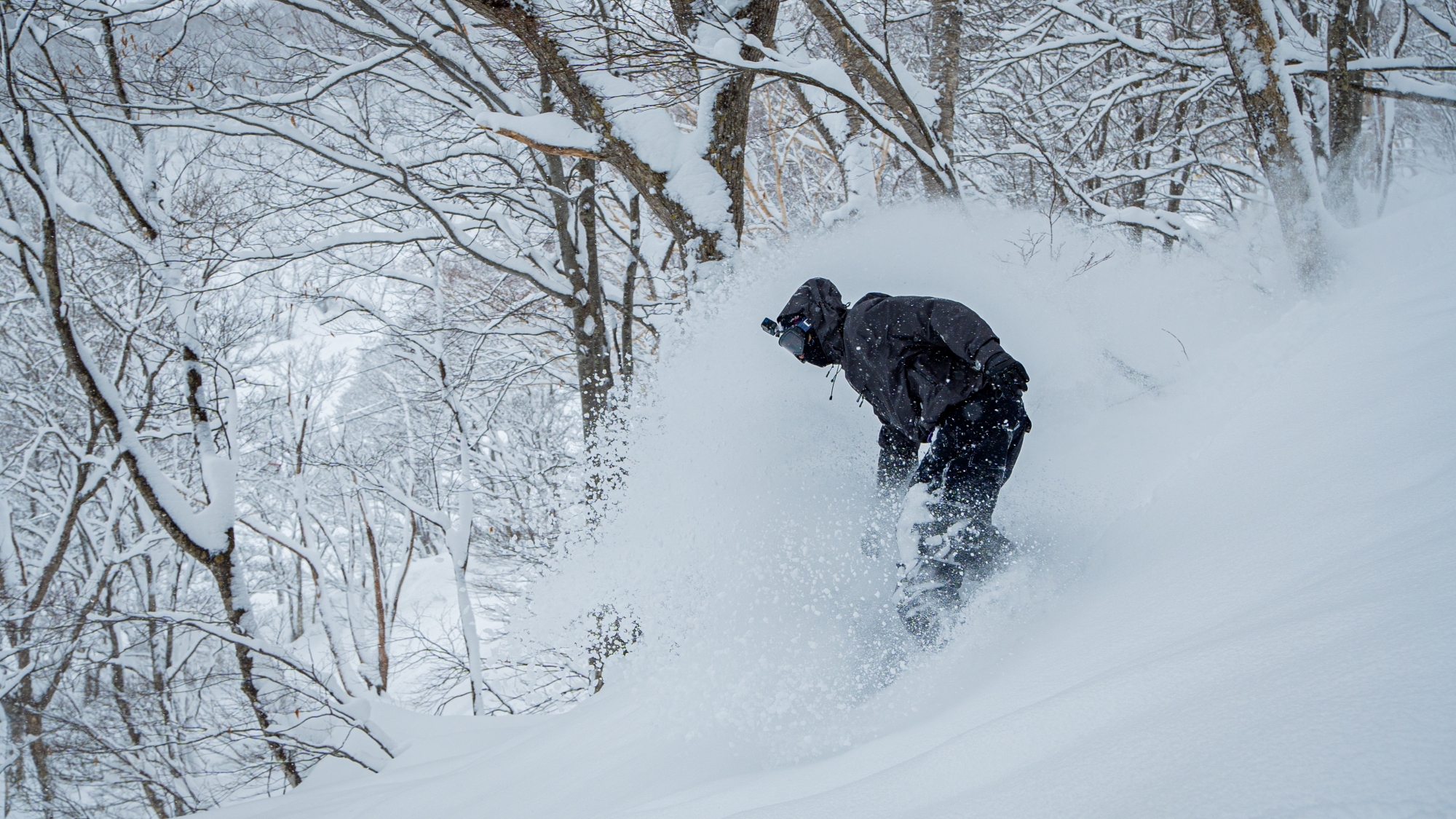 *関温泉スキー場はツリーランも楽しめるゲレンデです