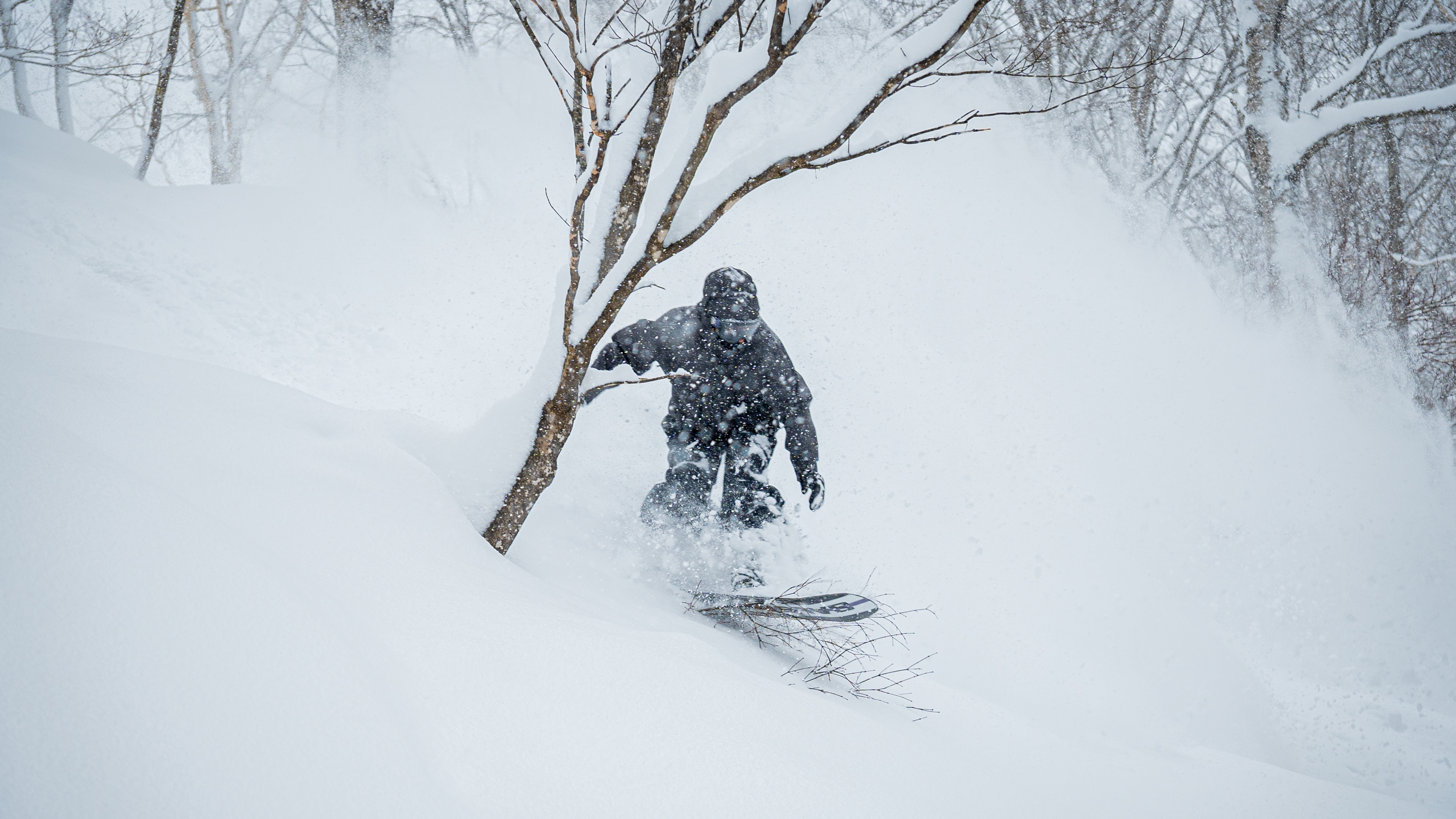 *関温泉スキー場のパウダーランは別格です！