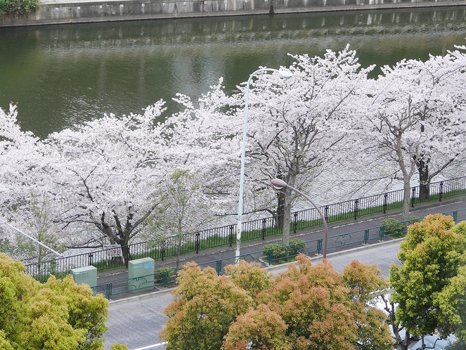 東館