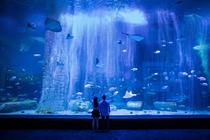 Grandview Aquarium