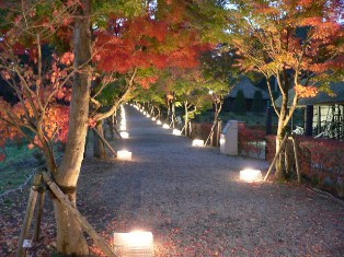 HOTEL TABIJIYA - 写真 143