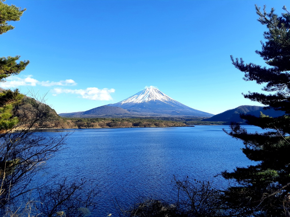 【２連泊〜お得！】ECO割引☆富士五湖へのお仕事や観光に☆素泊り