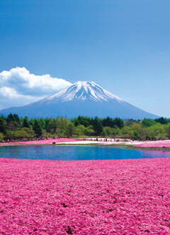 HOTEL TABIJIYA - 写真 140