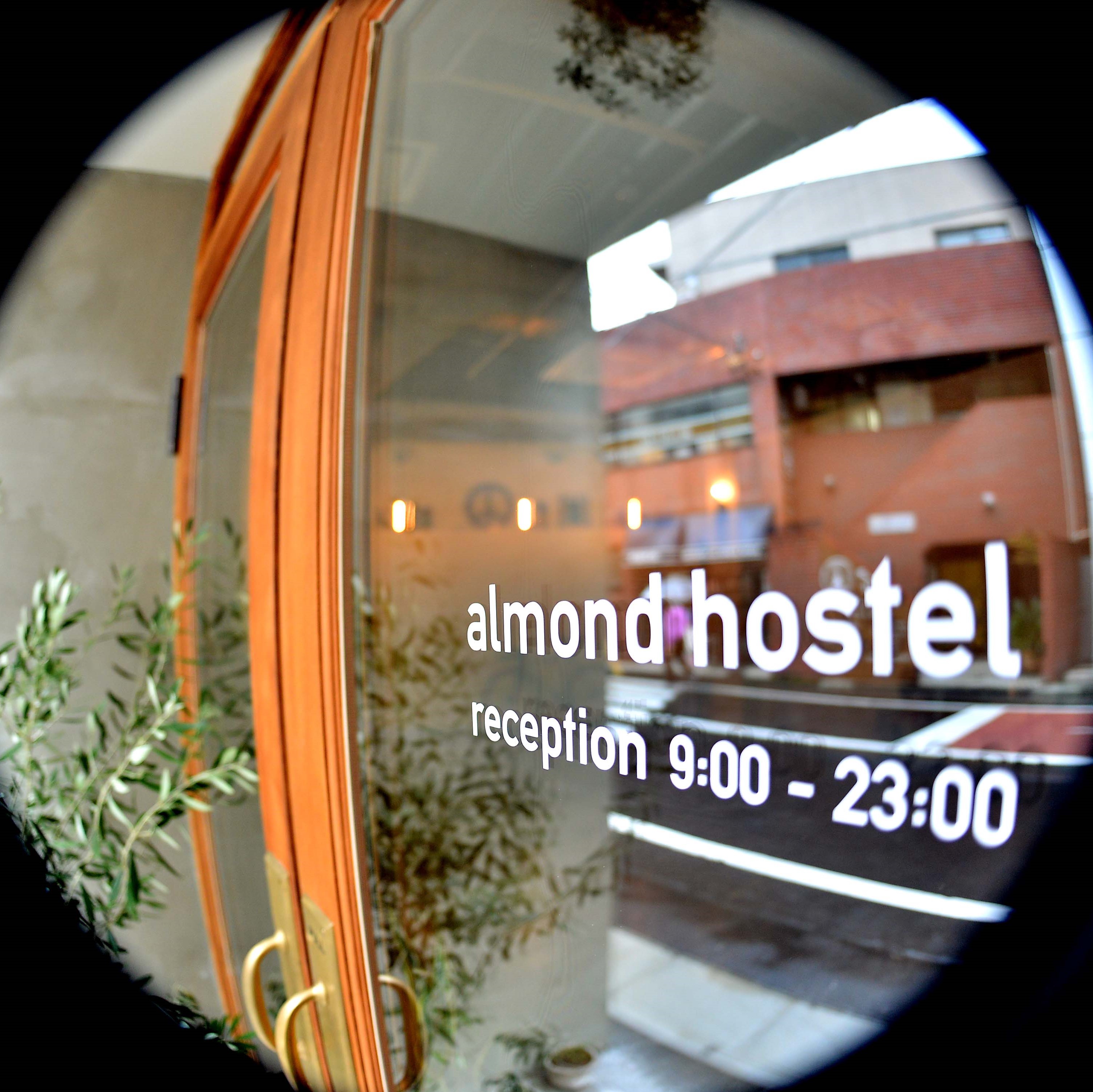 almond hostel & cafe