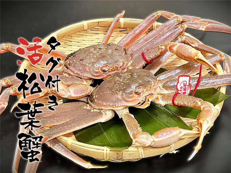 【山陰カニ旅】タグ付き松葉がに　味わいづくしの活蟹会席プラン！☆☆☆