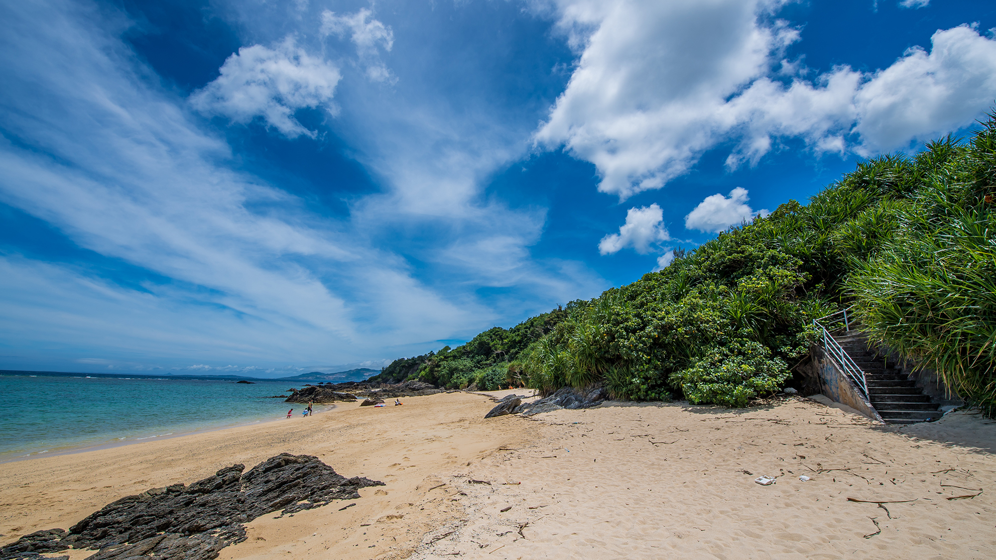 沖縄の大自然を満喫ください。