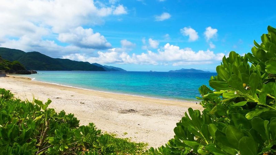 ＜海みる屋根の宿＞透きとおる海が島を囲み、そのブルーのグラデーションの美しさに時を忘れてしまいます。