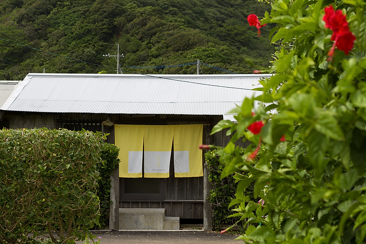 伝泊 海みる屋根の宿 加計呂麻島 宿泊予約 楽天トラベル