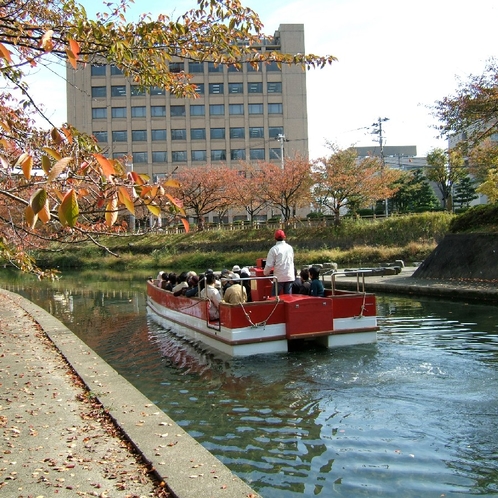松川遊覧船「神通」と紅葉の桜並木