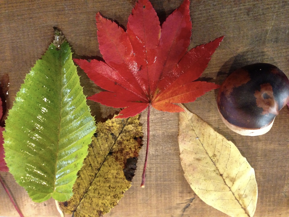 ≪若者限定 ☆ プライスSALE!≫　◇◇20代限定お得応援プラン◇◇