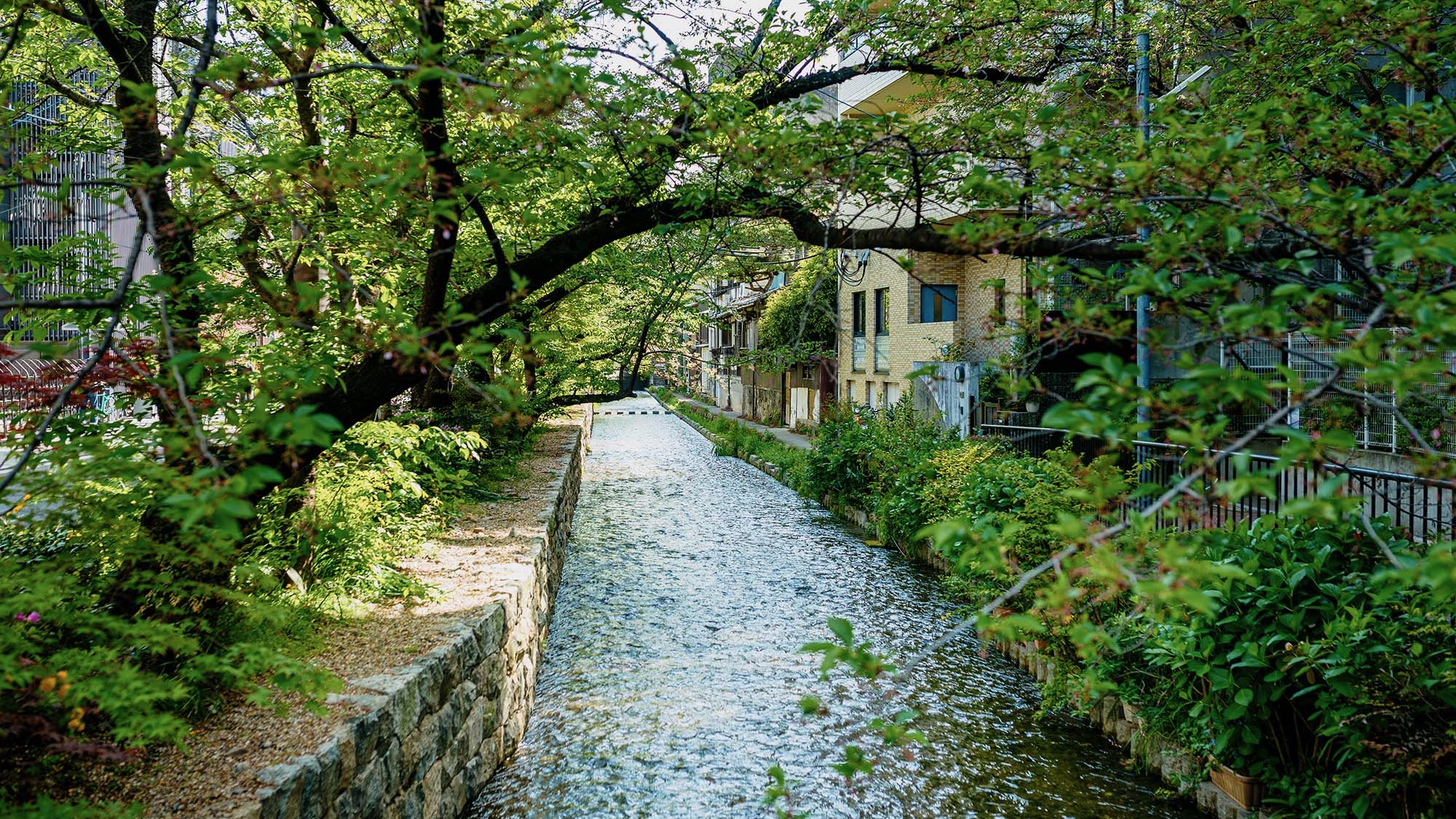春は桜、初夏の新緑、秋の紅葉、冬の雪景色など、季節ごとの風景が美しい高瀬川沿いに佇みます。