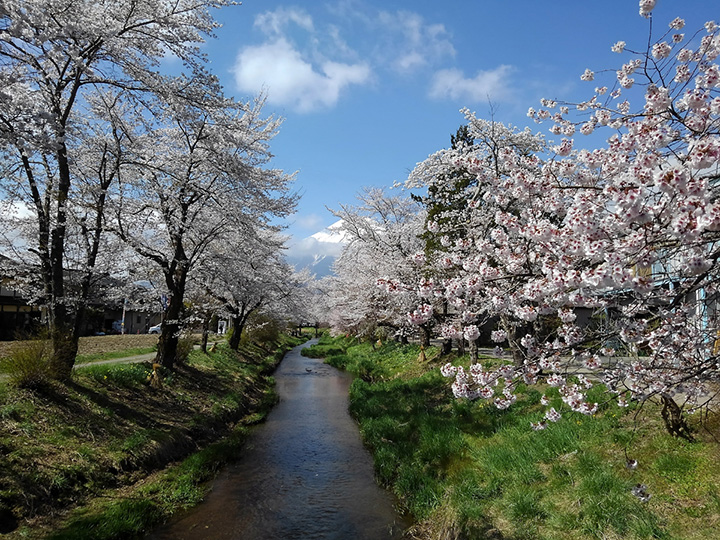 忍野八海と富士山