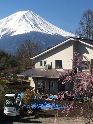 Ⅾ棟と富士山