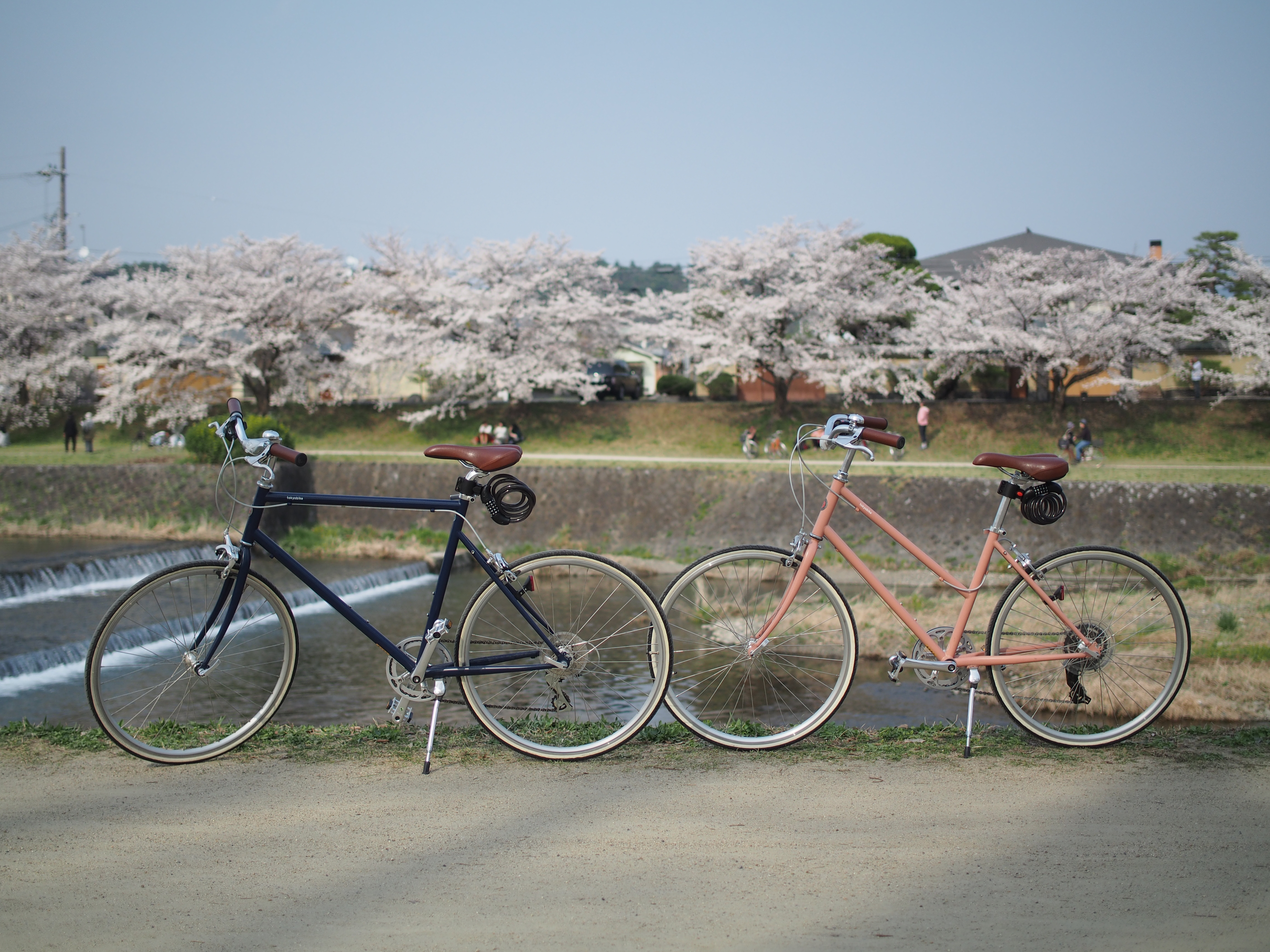 【レンタサイクル】鴨川沿いをサイクリング