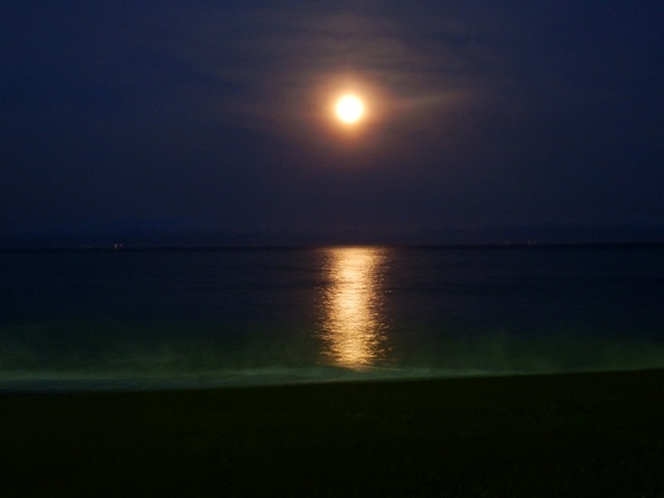 海から部屋に向けて一筋の月光が差し込みます。