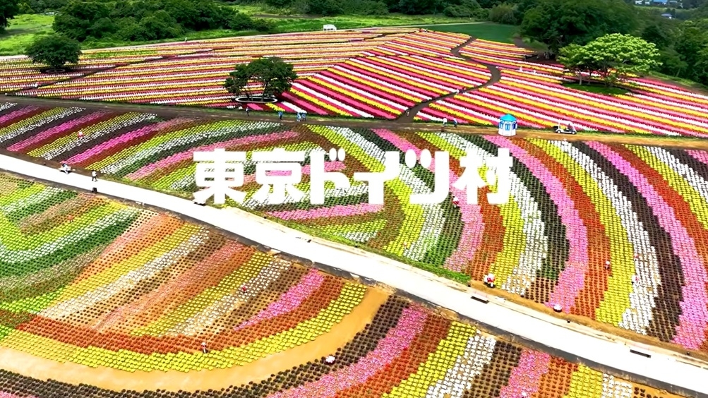 ・【アクティブシニア・2食付】季節の花めぐり旅〜ドイツ村チケットプレゼント〜