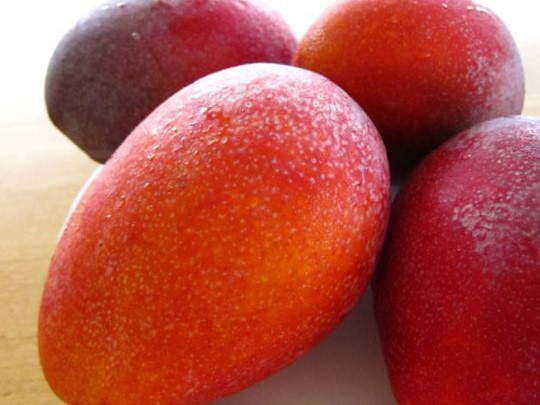 【沖縄のフレッシュ果実】マンゴー