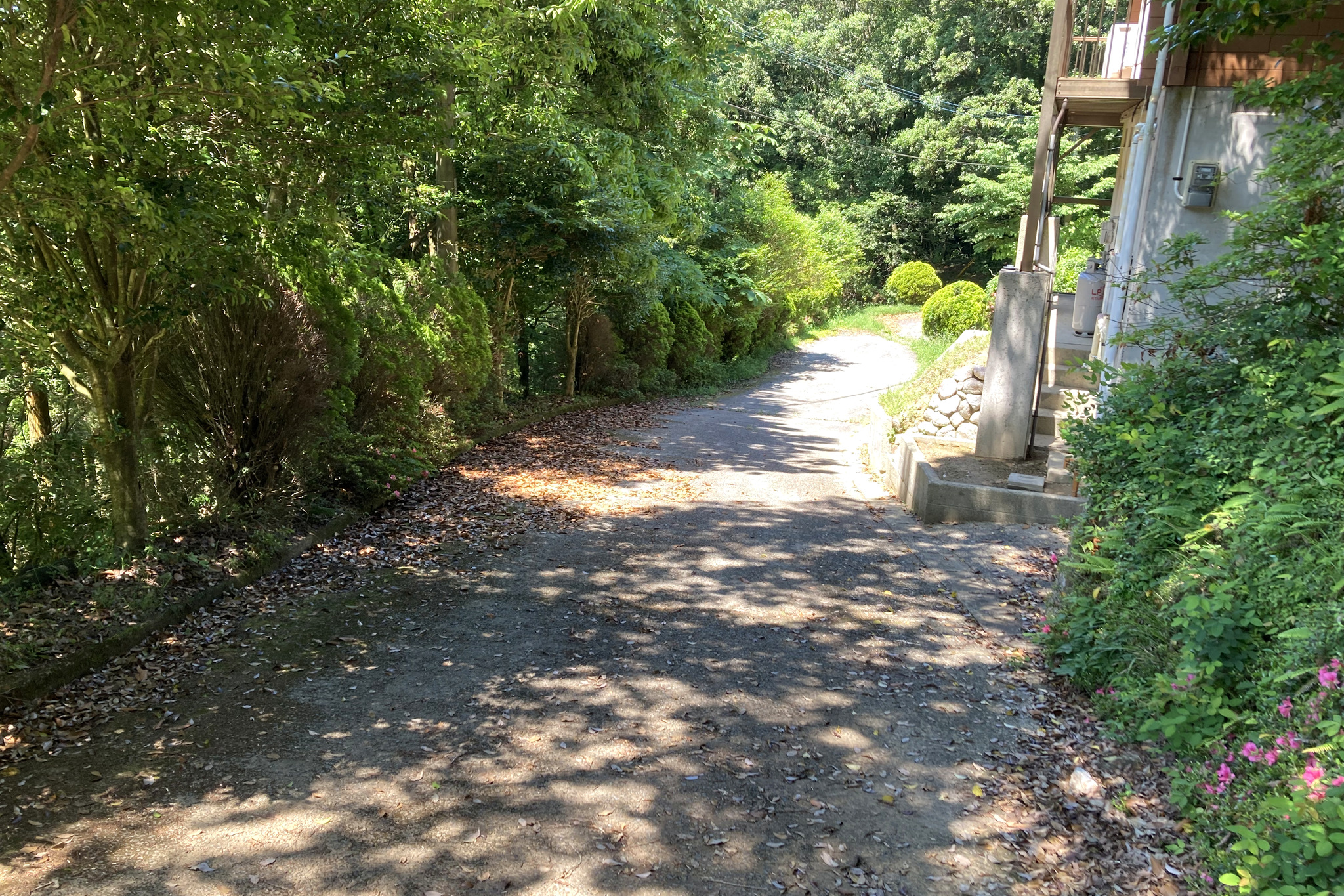 別荘までの進入路