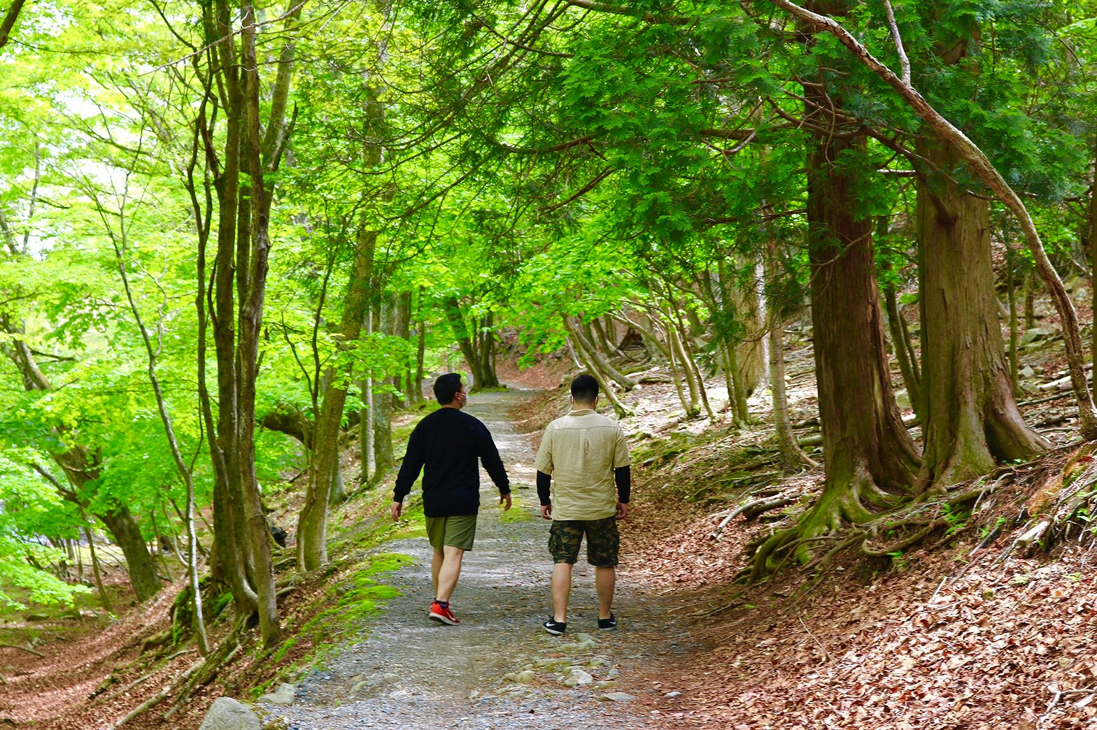 散歩するのも非日常をあじわえます。日本で一番高いところにある湖畔になります。
