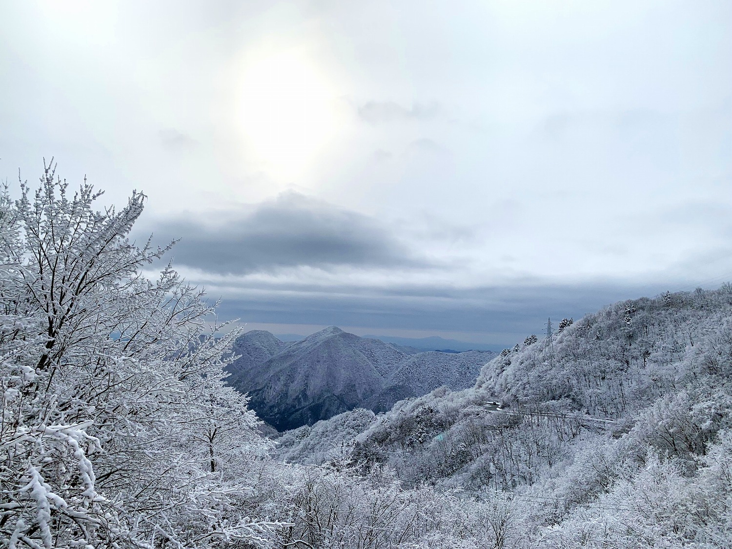 氷点下の景色　樹氷