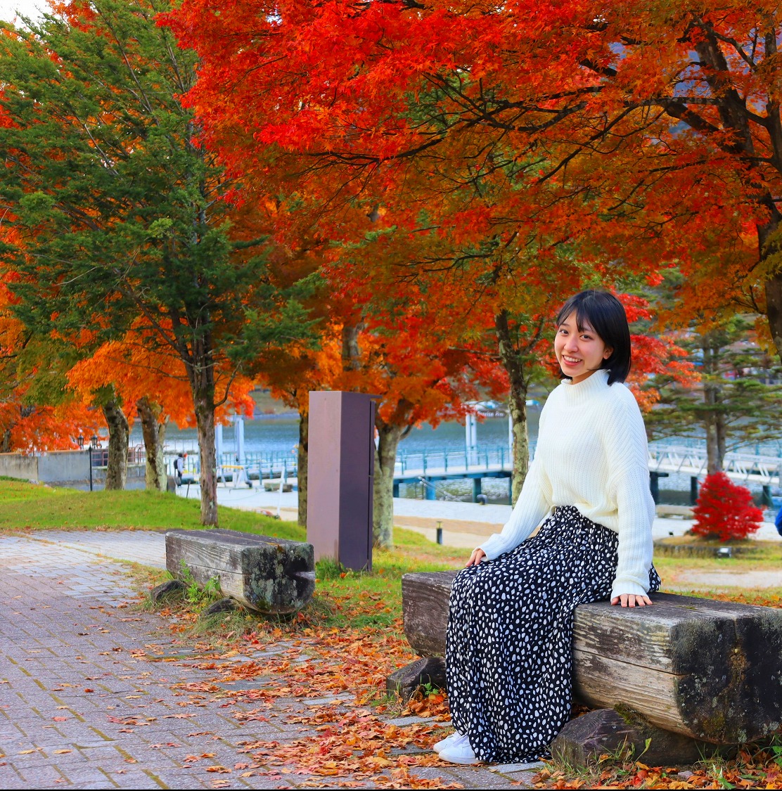 映えスポットご案内いたします♪紅葉は１０月中旬～１１月が見ごろになります。