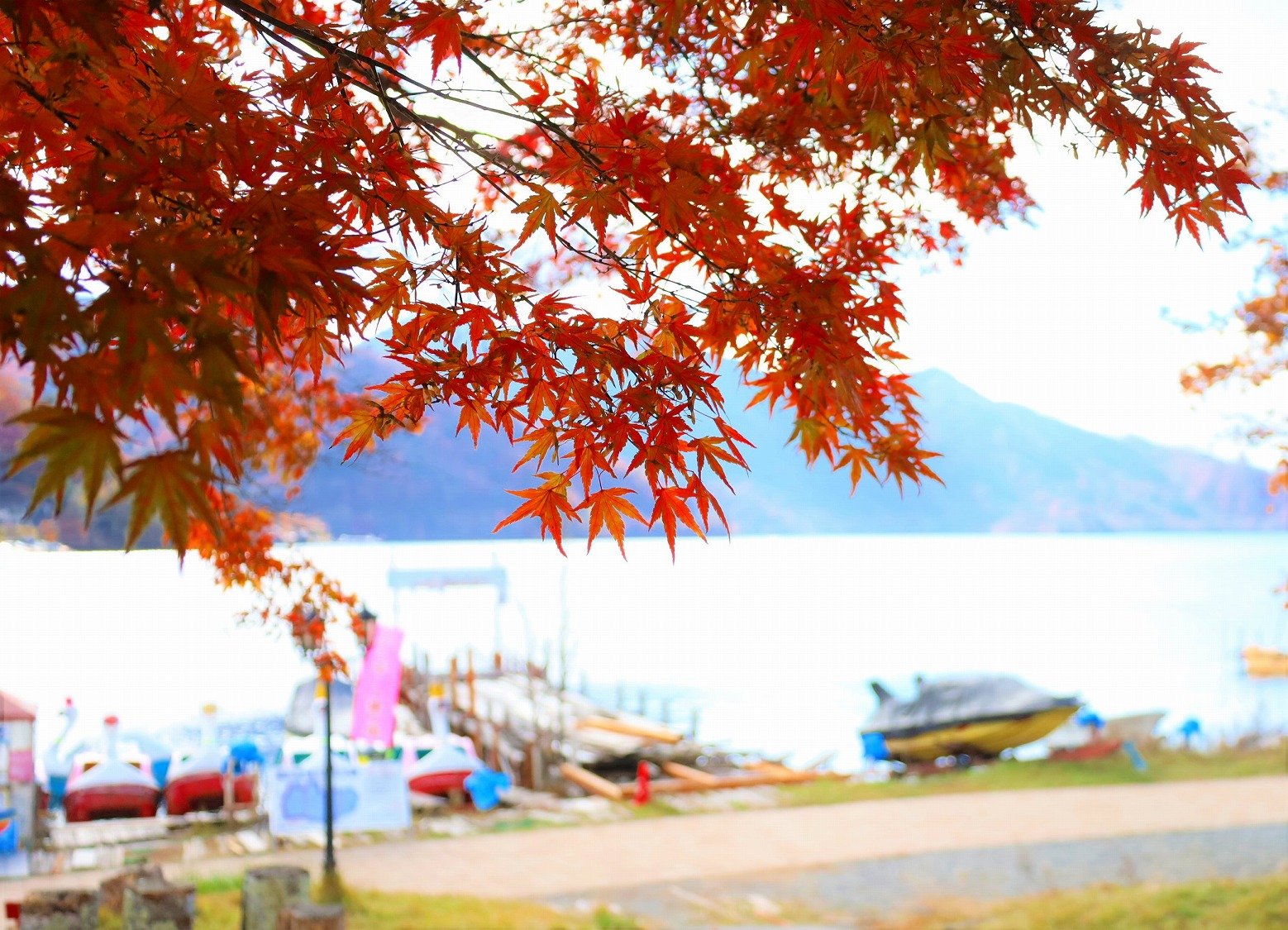 中禅寺湖湖畔の秋