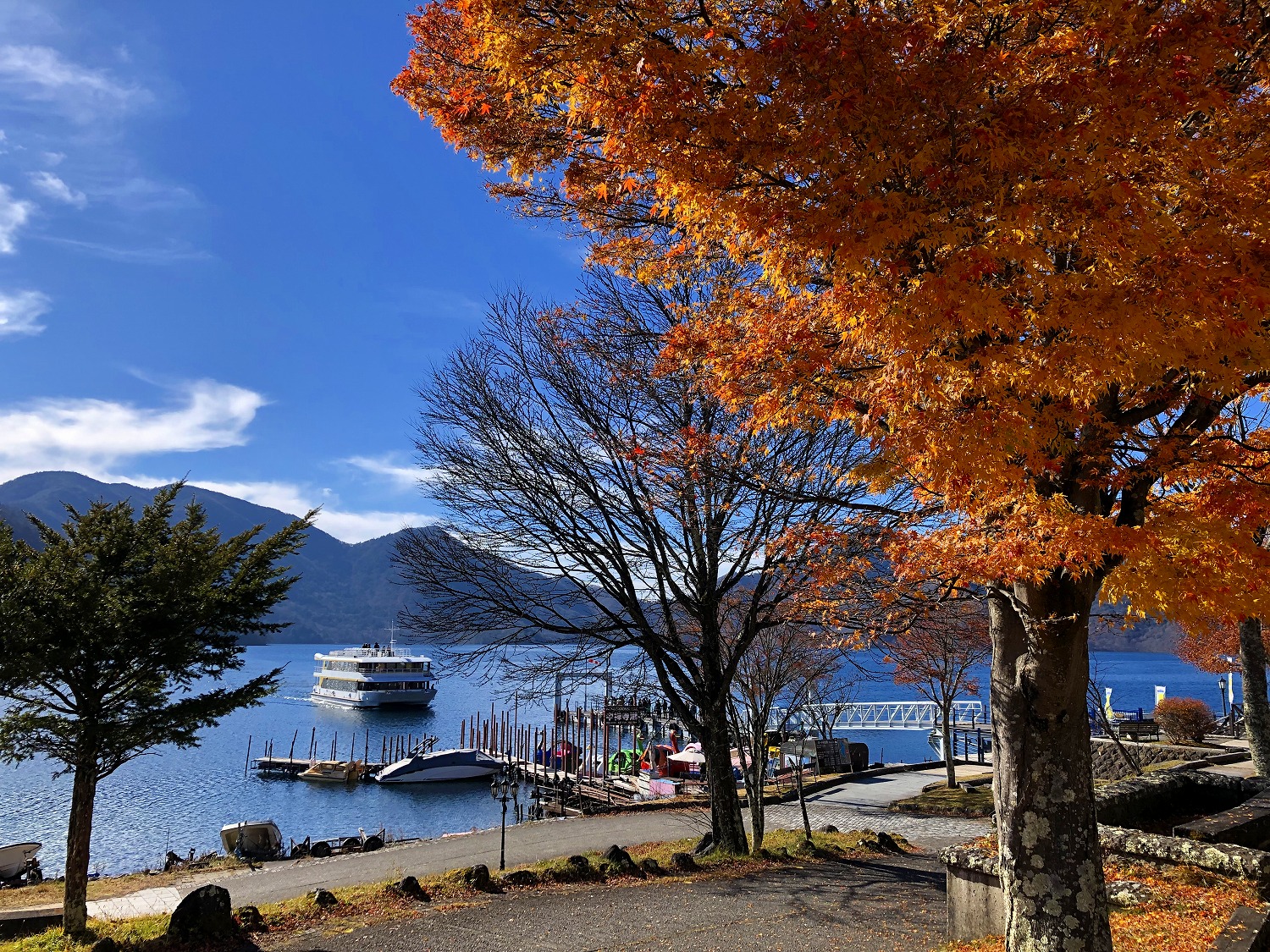 紅葉の時期は遊覧船が人気です