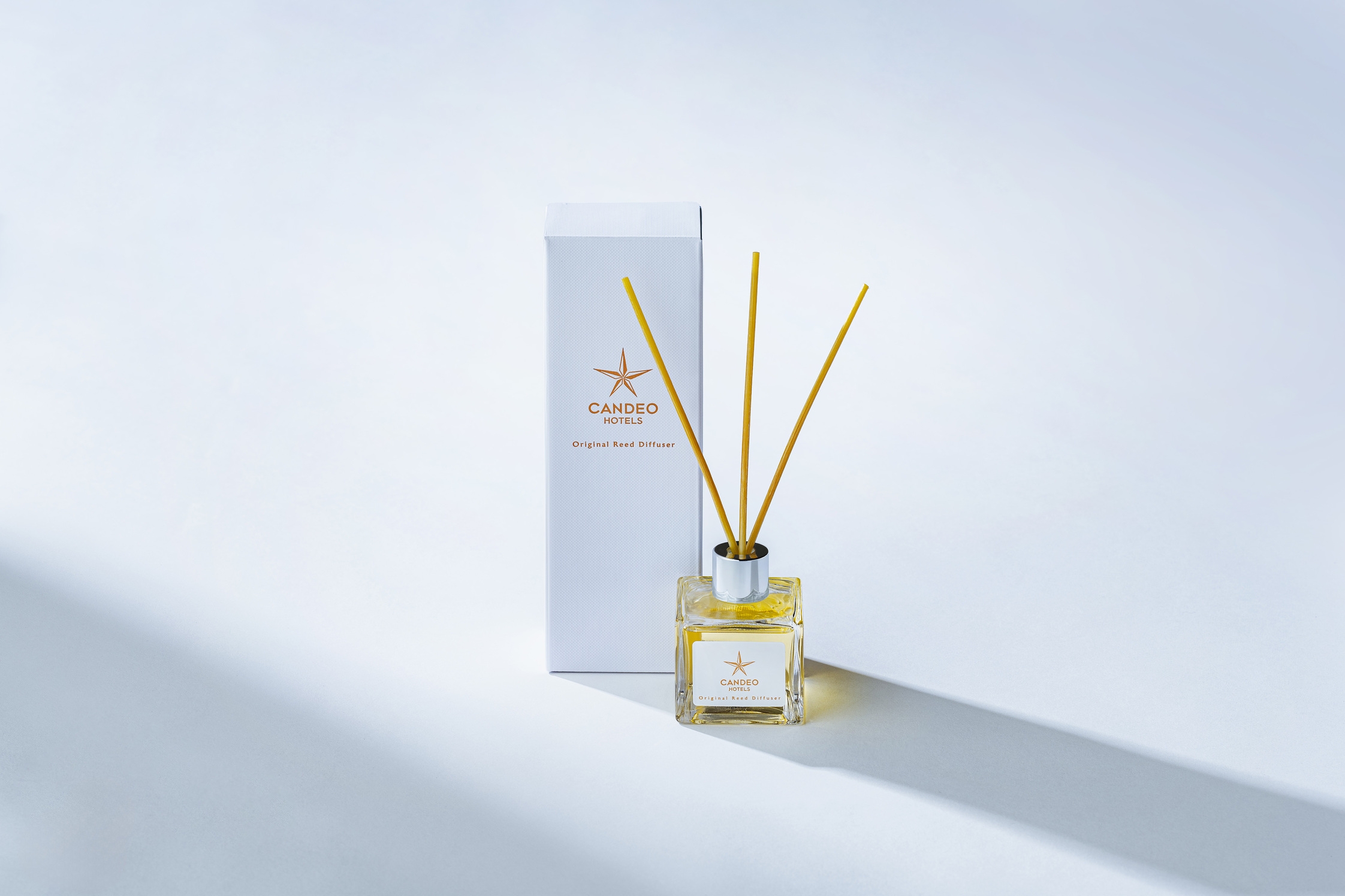 【カンデオクーポン3000円付（3500円相当分）】館内で使えるカンデオデリカプラン（素泊）