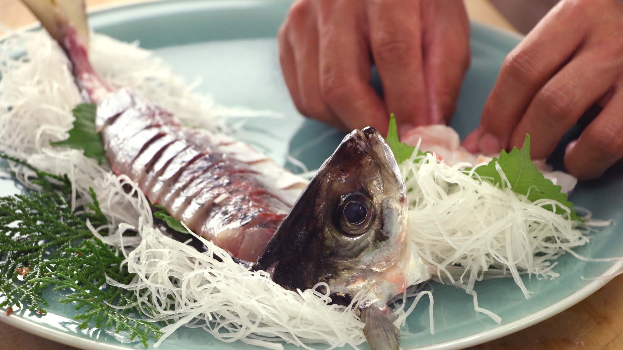 【豊後水道の幸】　市場で直接買い付けた海の幸を堪能！　（一泊二食）