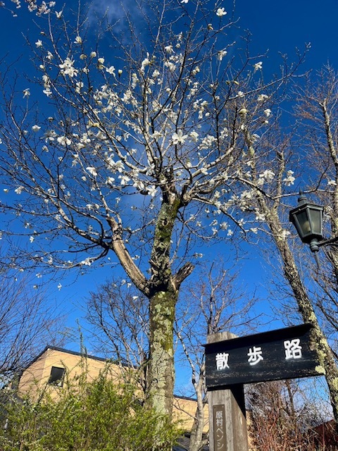 散歩道看板