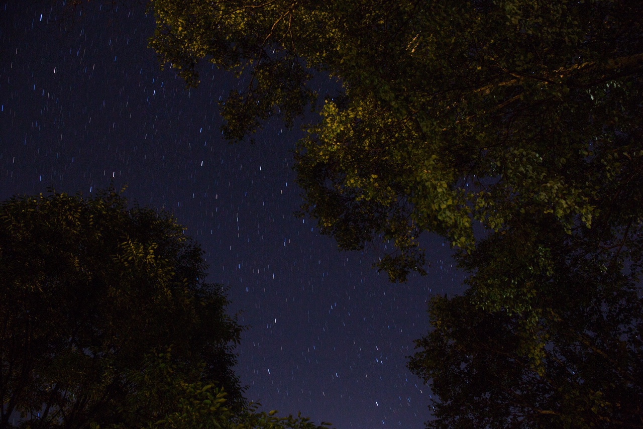 ある夜の星空