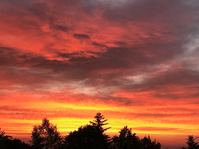 駐車場側からの夕日