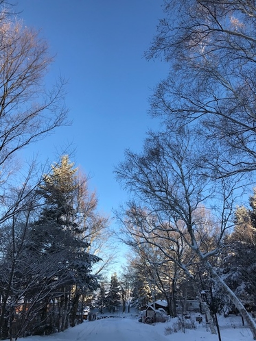 降雪後の八ヶ岳BaseCampの朝景色