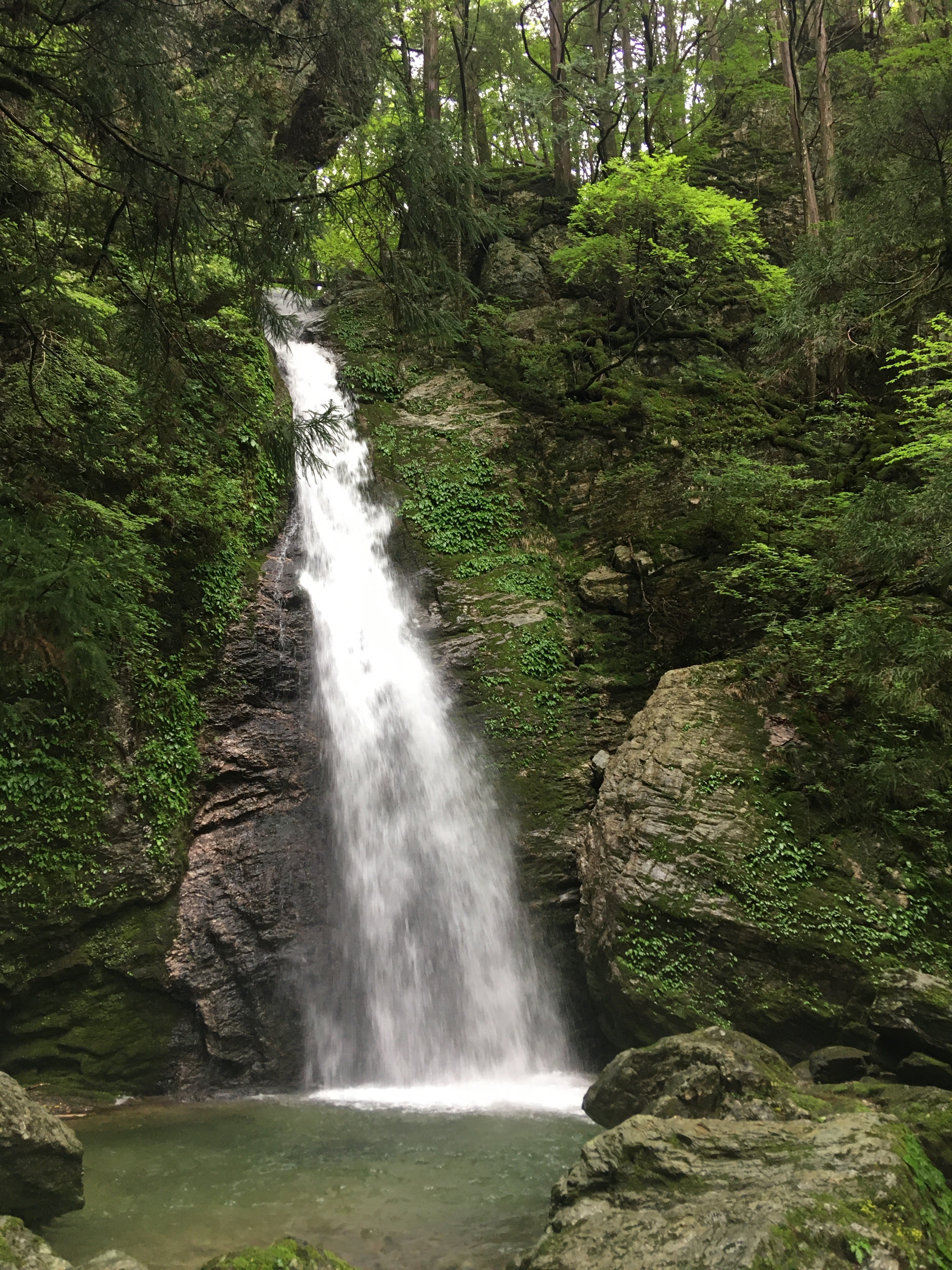 龍王の滝