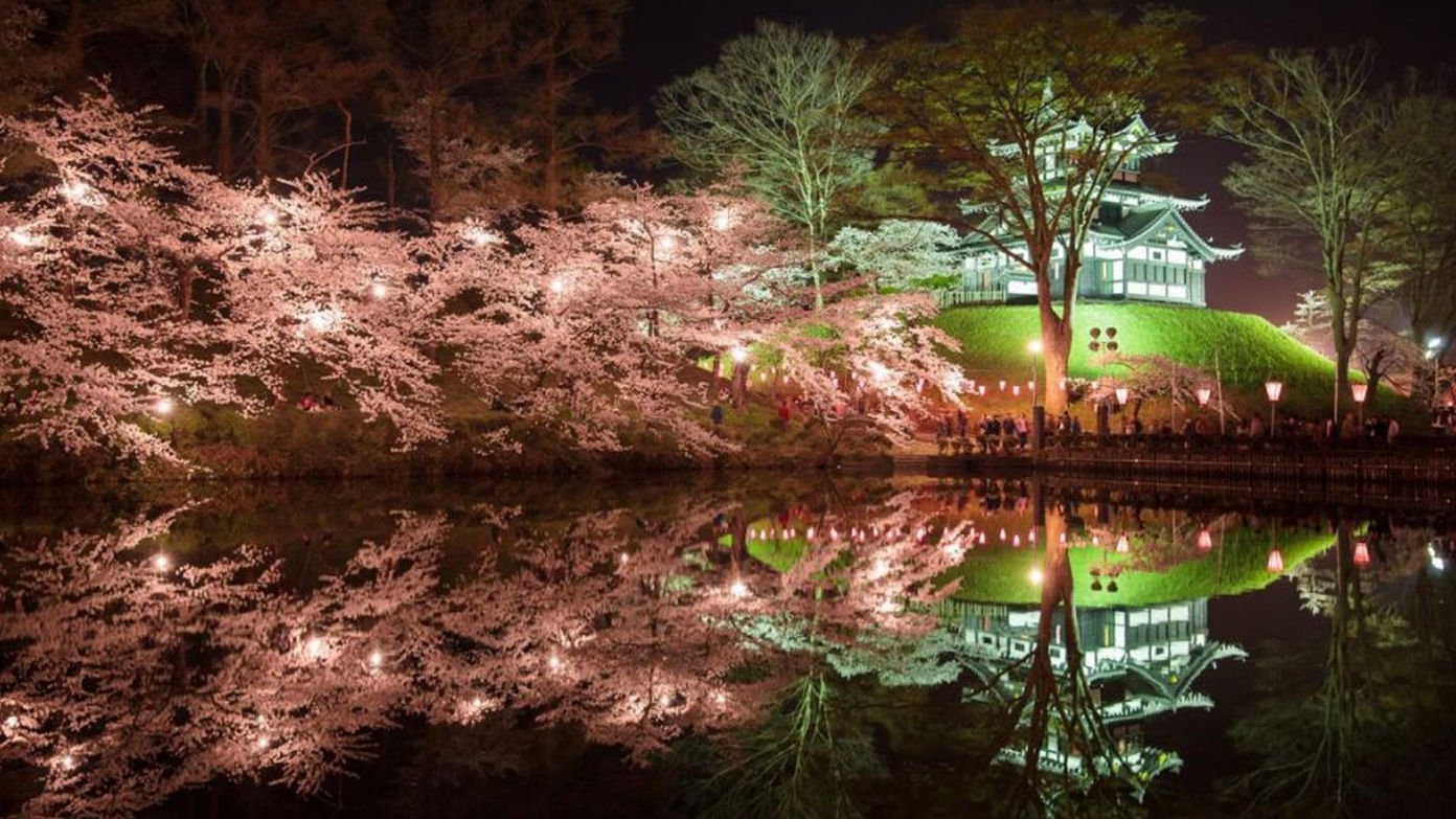 【幻想的な桜を彩る☆日本三大夜桜の観桜会】会場まで送迎＆ロッテのお菓子などホテル特典も満載／2食付