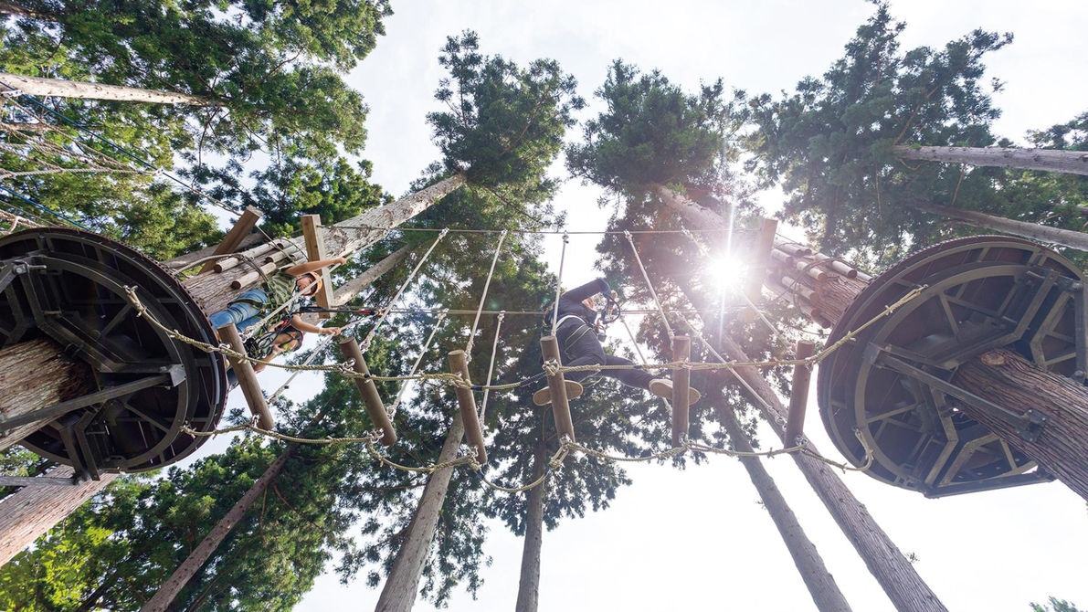 ツリーアドベンチャー