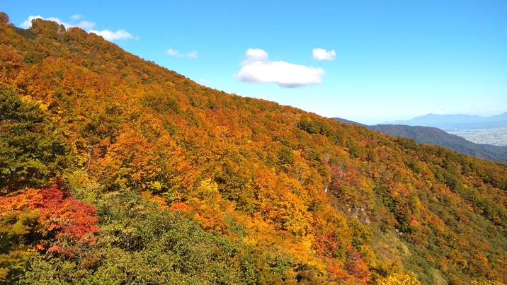 【紅葉を満喫】紅葉ゴンドラリフト券付きプラン＜夕朝食付＞